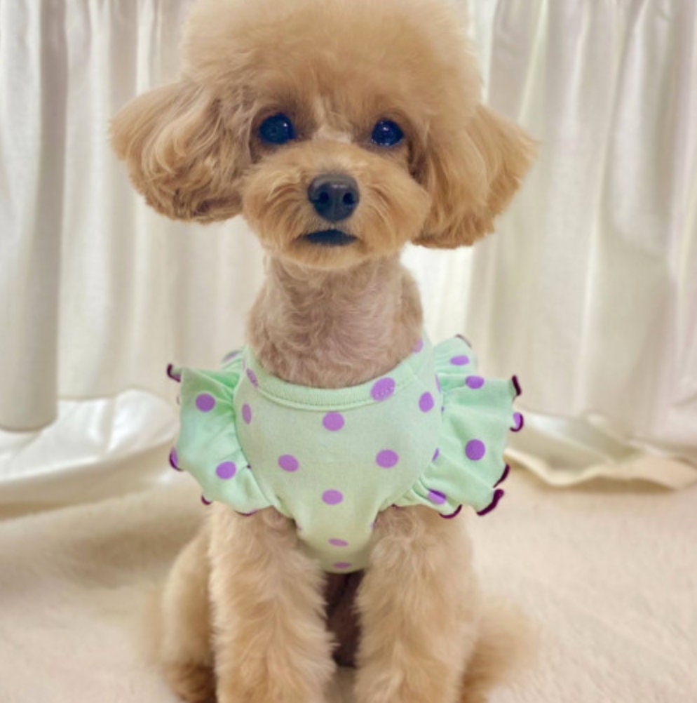 NKpup mint green dog shirt with purple polka dots and ruffle sleeves