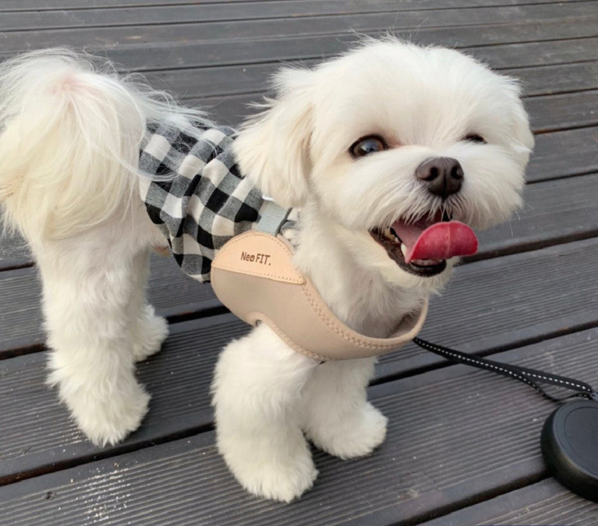 Air Cushion Dog Harness