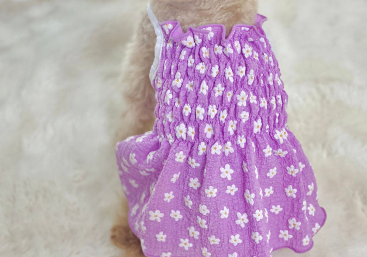Floral Smocked Dog Dress