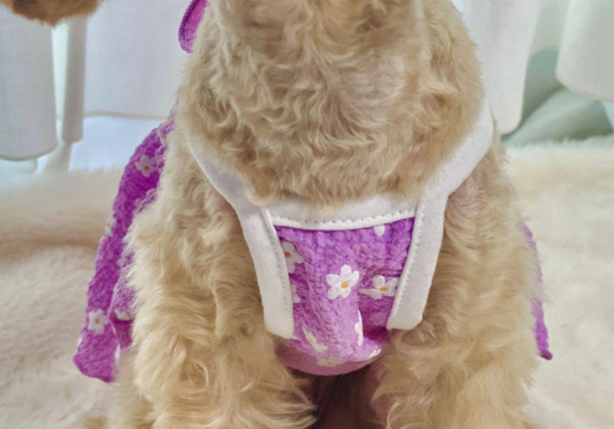 Floral Smocked Dog Dress