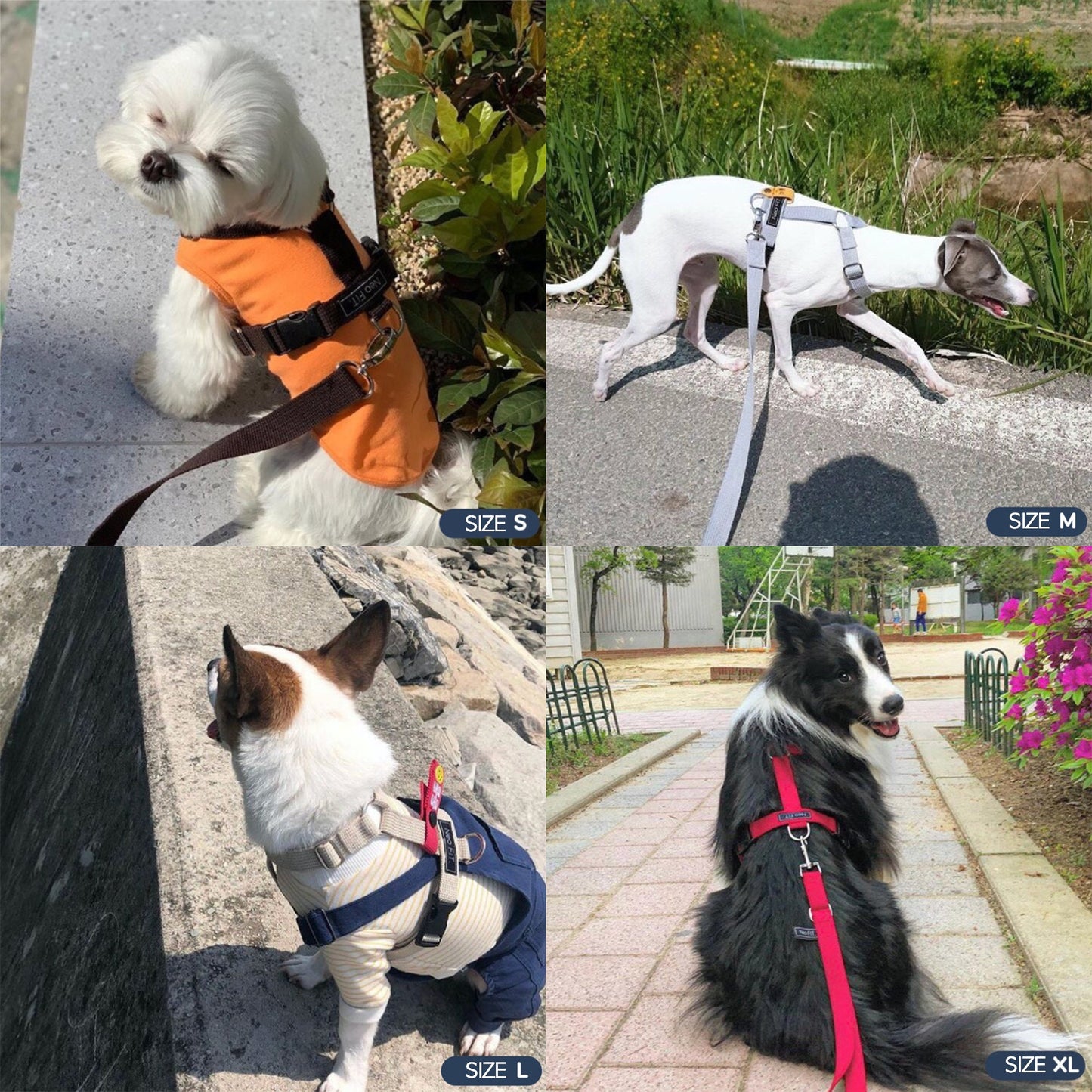 Dog Harness (H type Harness)