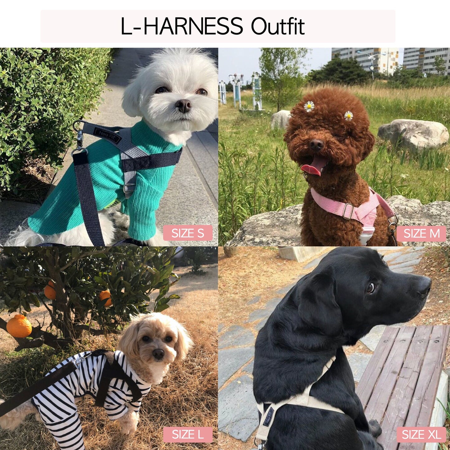 Dog Harness (L type Harness)