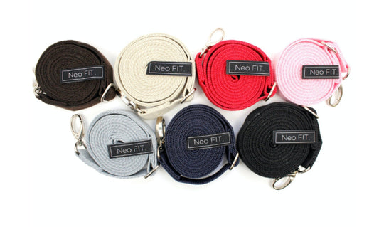 7 Colors Dog Leash