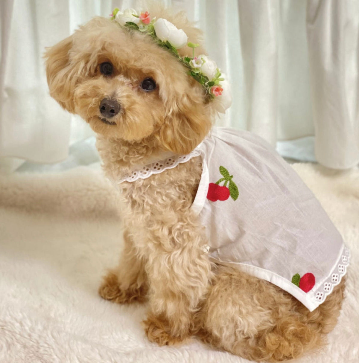 White cozy embroidered dog tank top featuring red cherry patterns and lace trim.
