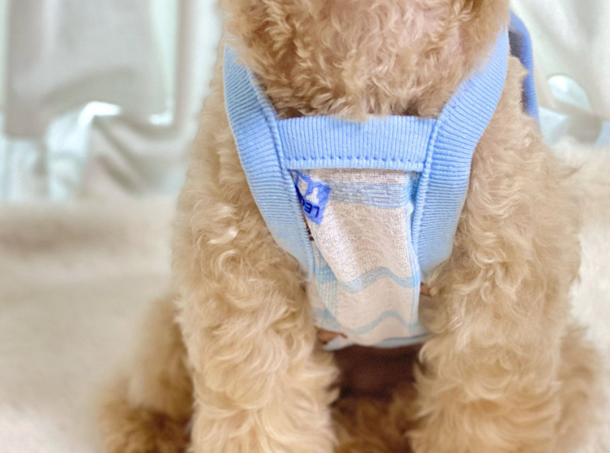 Teddy Bear Dog Tank Top in light blue with a subtle wavy pattern by NKpup