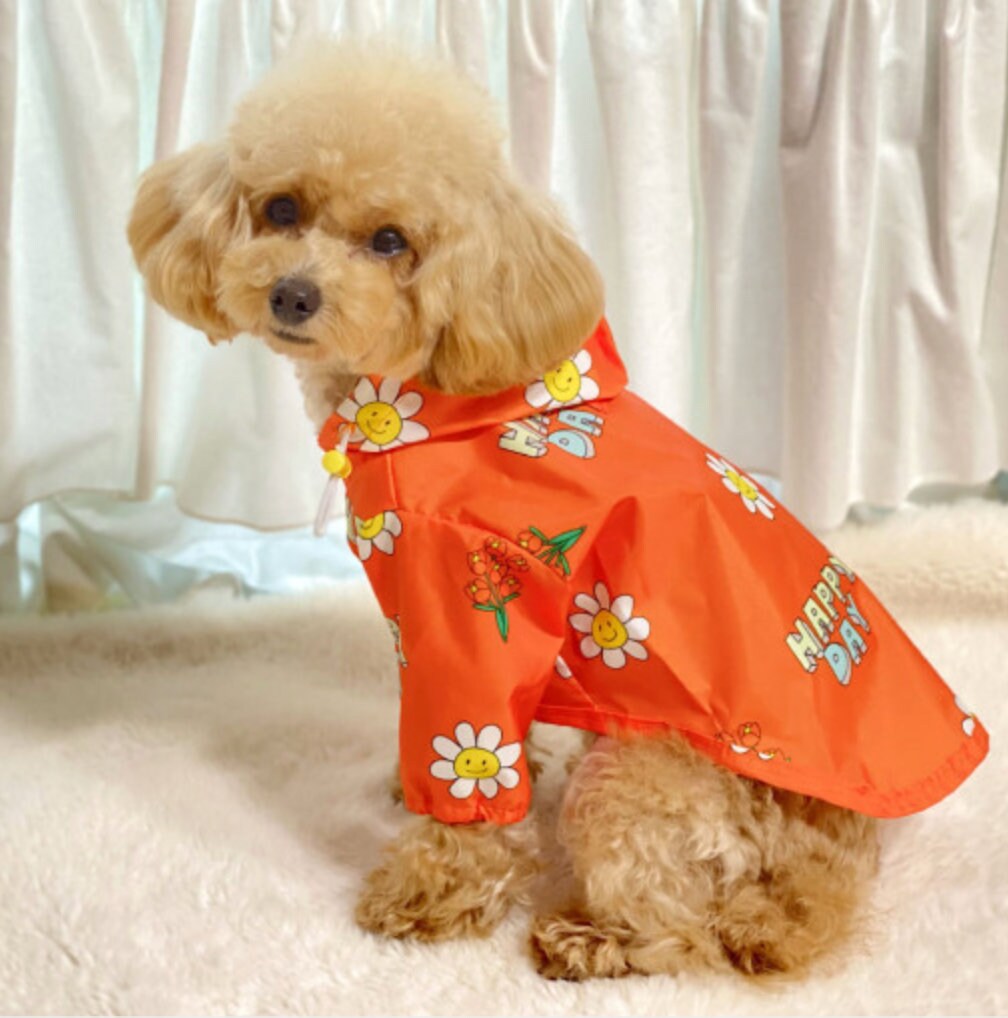 Floral Raincoat for Dog