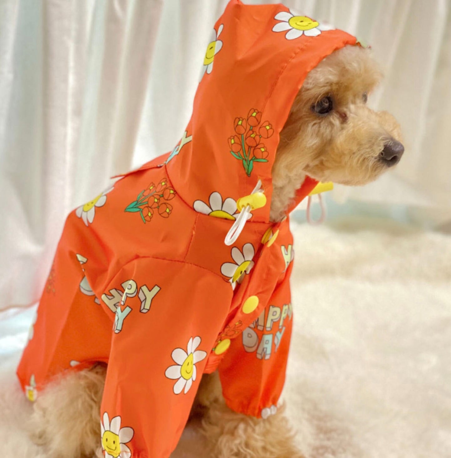 Floral Raincoat for Dog