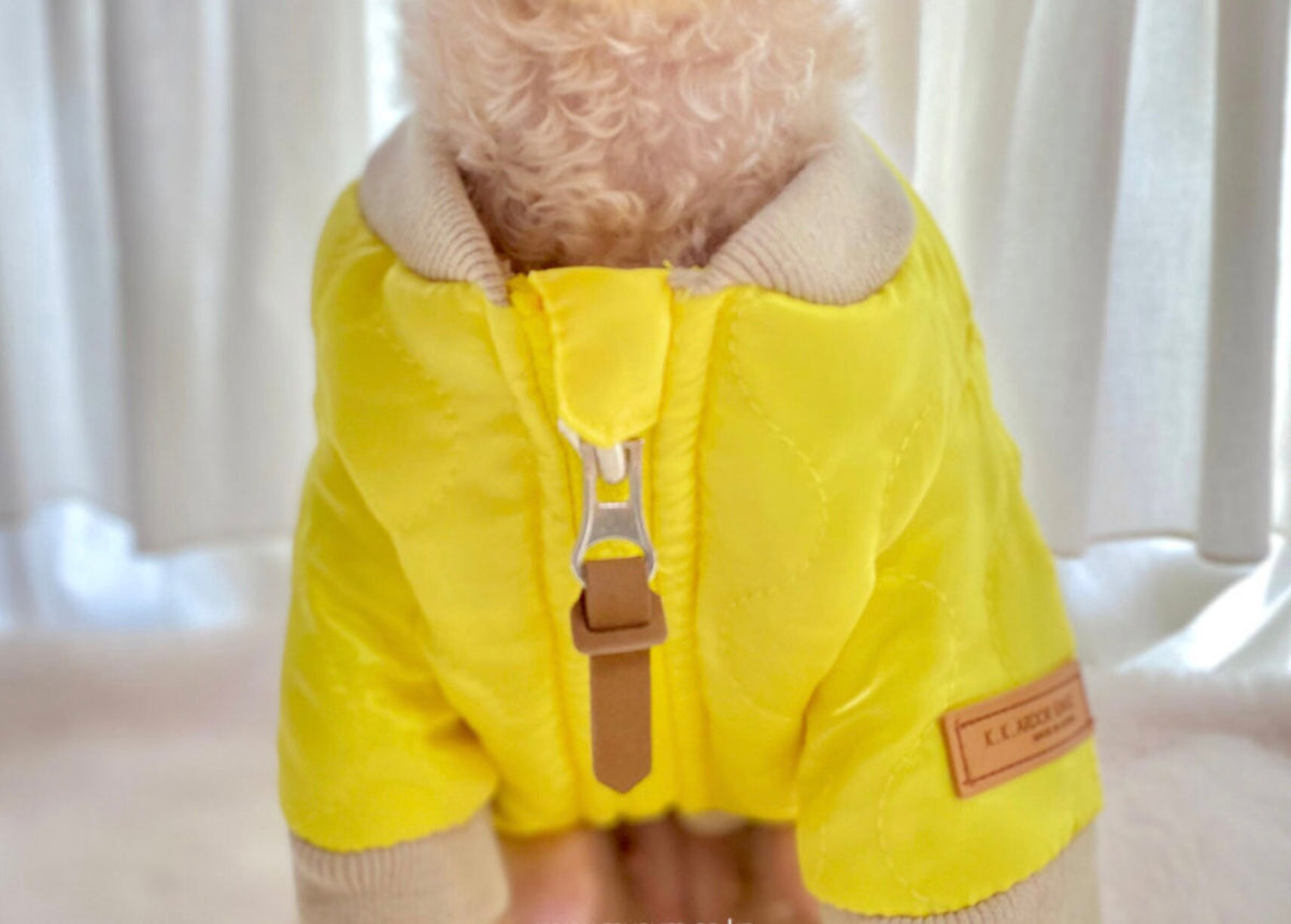 Bomber Dog Padded Jacket