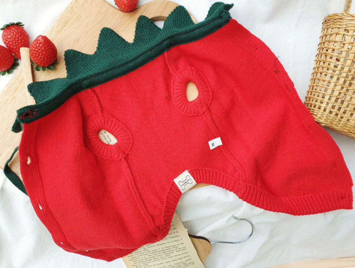 Red Halloween strawberry knit dog vest with green scalloped trim
