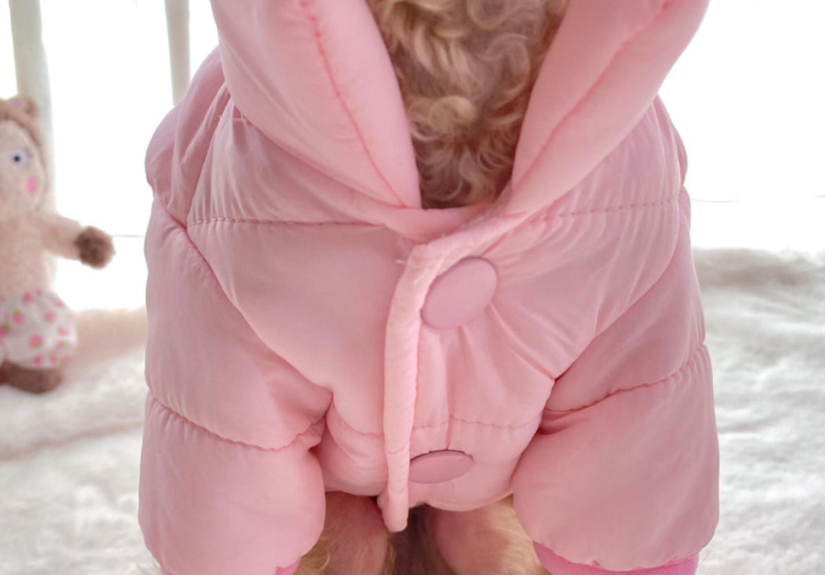 Lightweight D-Ring Dog Padded Jacket