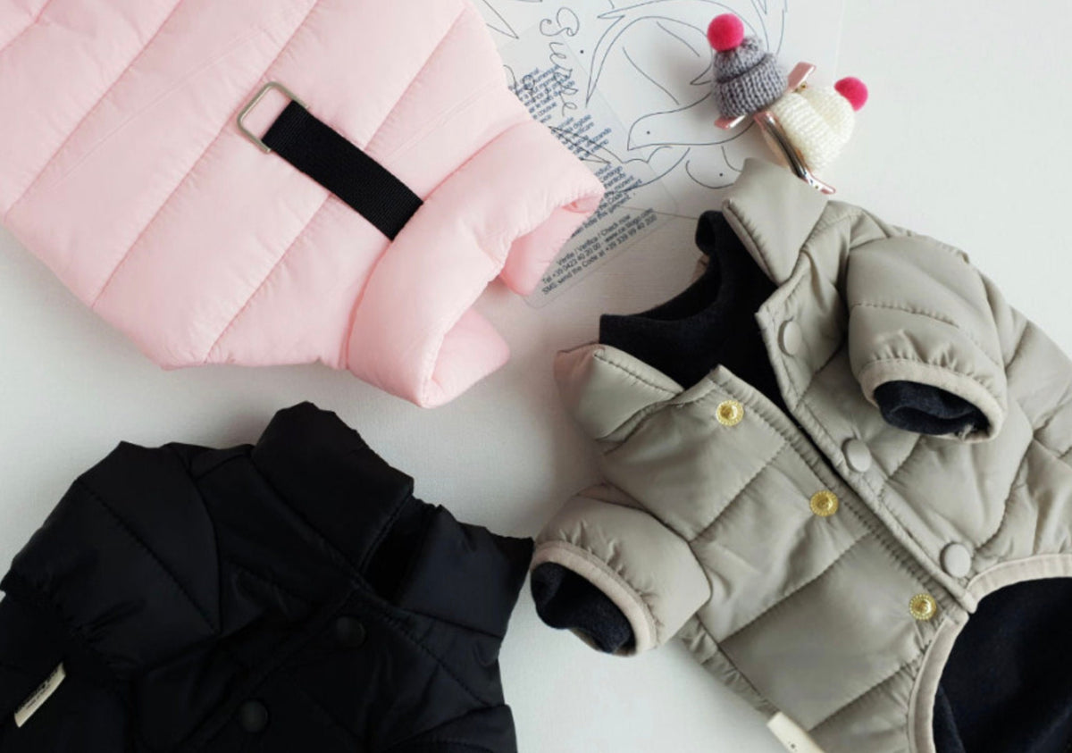Lightweight D-Ring Dog Padded Jacket