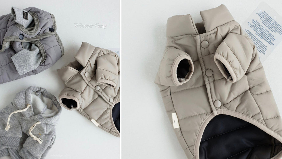 Lightweight D-Ring Dog Padded Jacket