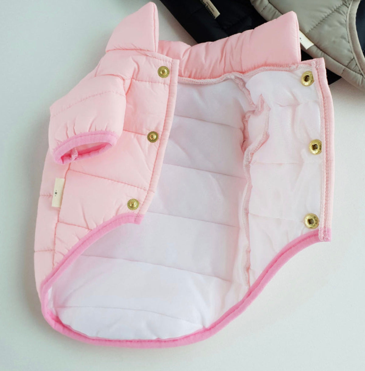 Lightweight D-Ring Dog Padded Jacket