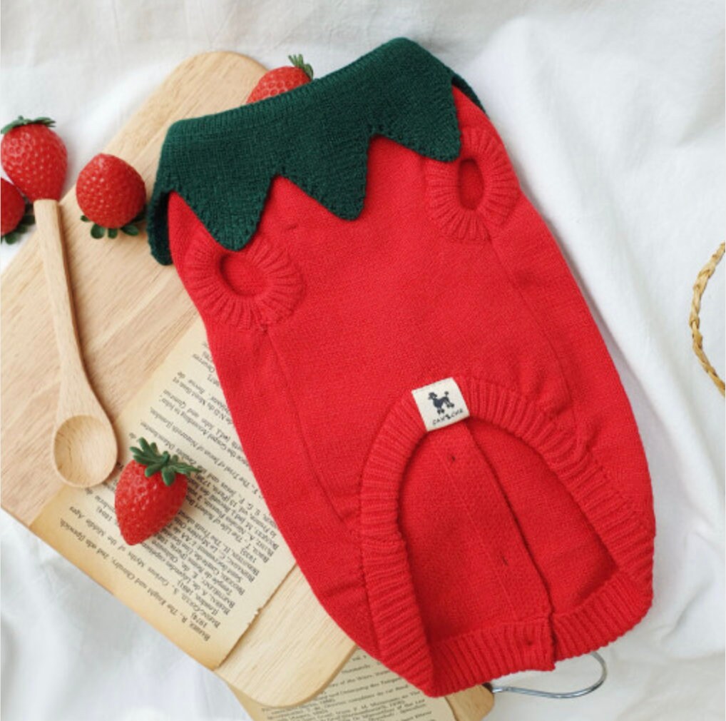Red strawberry knit dog vest with green leaf trim for Halloween