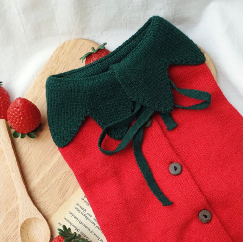 Halloween strawberry knit dog vest in red with green collar and buttons