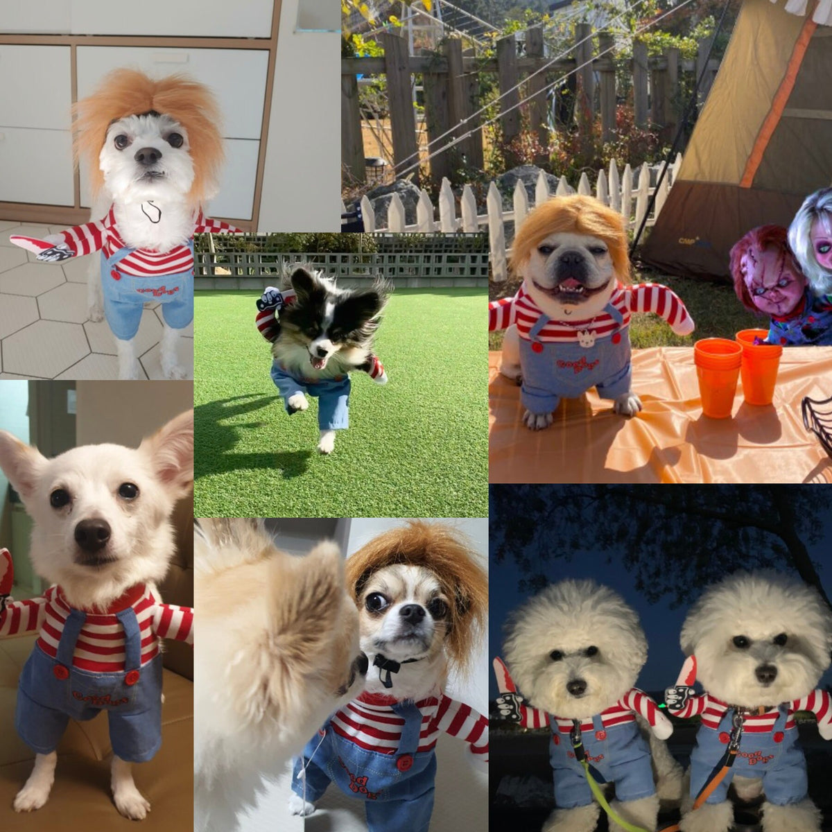 NKpup Chucky dog costume featuring a striped shirt and blue denim-style overalls.