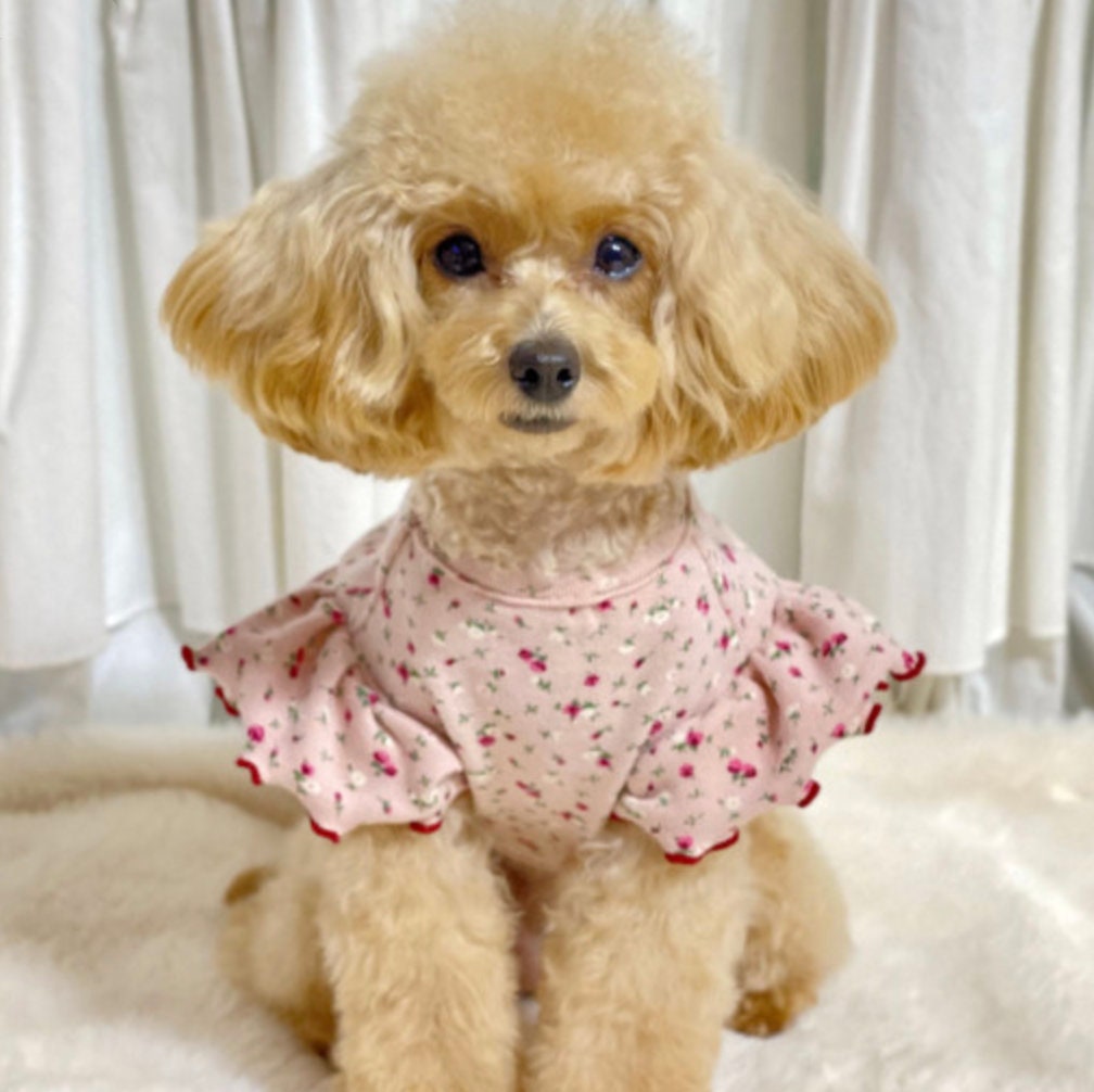 NKpup pink frilled floral dog shirt with ruffled sleeves and red trim