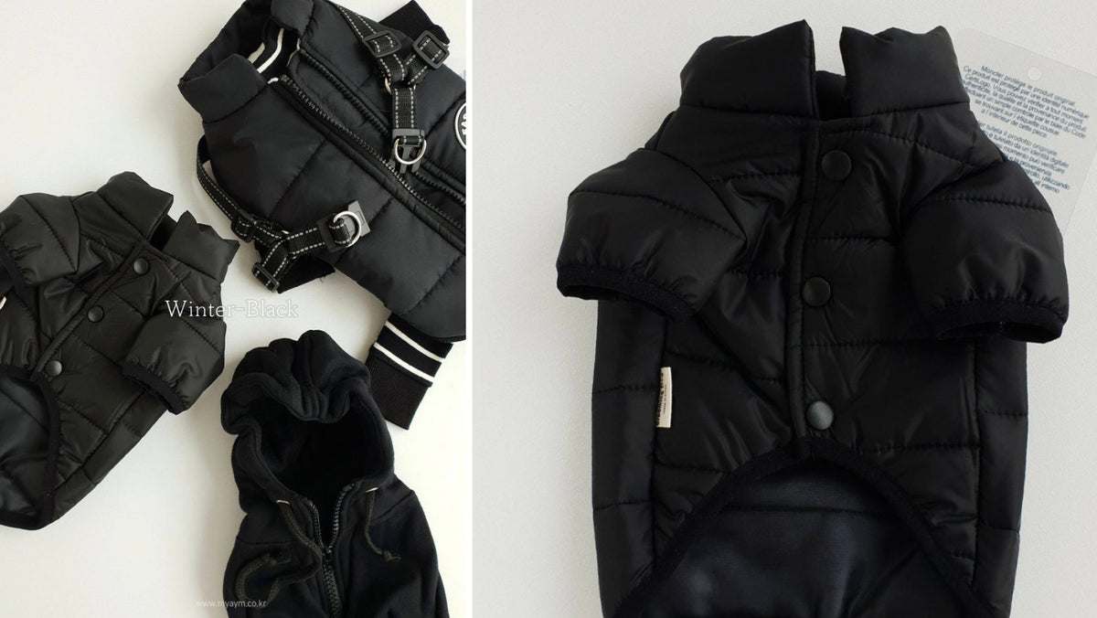 Lightweight D-Ring Dog Padded Jacket
