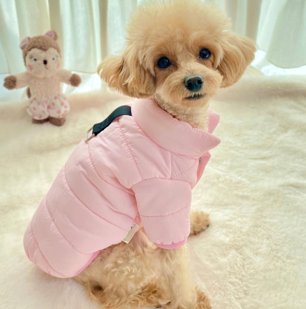Lightweight D-Ring Dog Padded Jacket