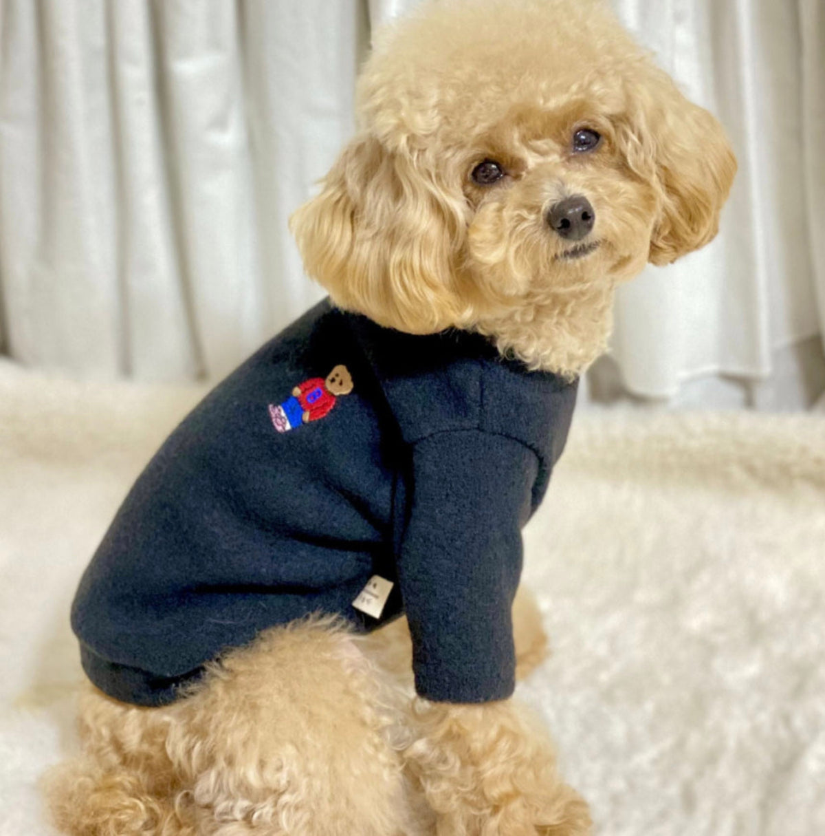 Teddy Bear Dog Knit Sweater