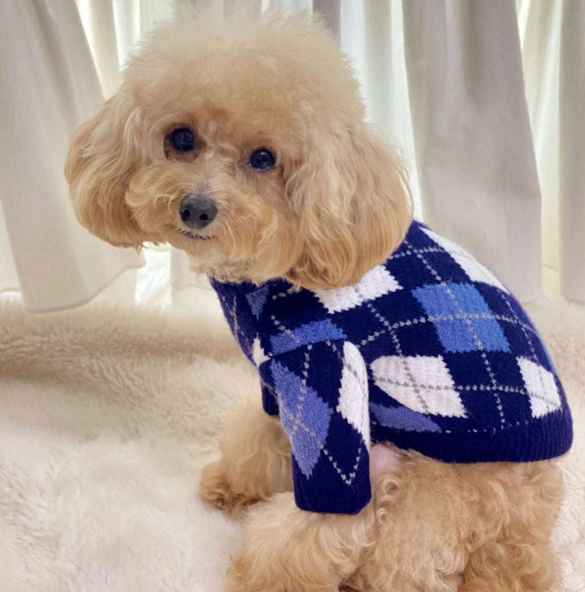 NKpup blue and white argyle knit dog sweater
