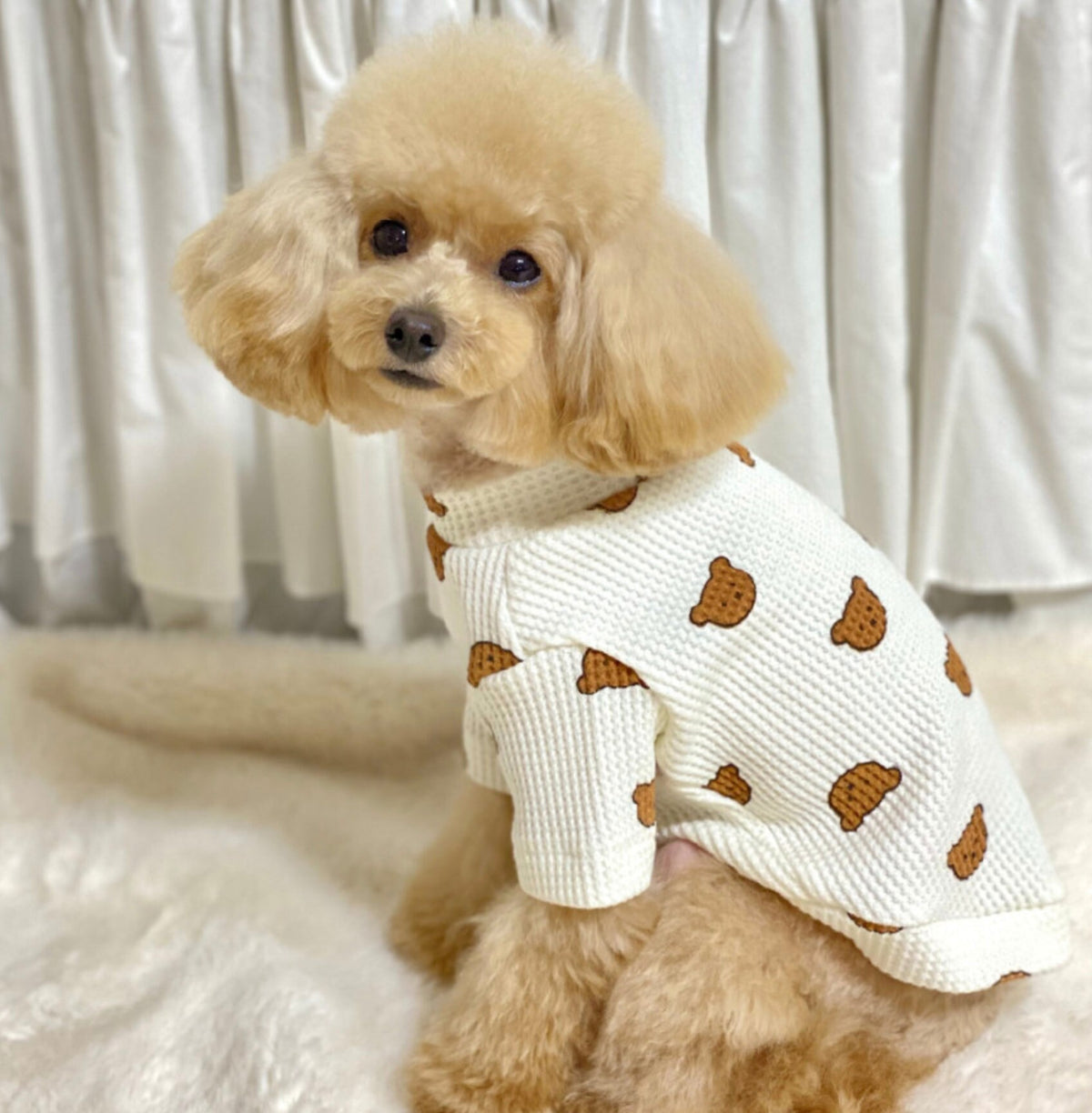 NKpup white waffle knit dog shirt with brown bear pattern
