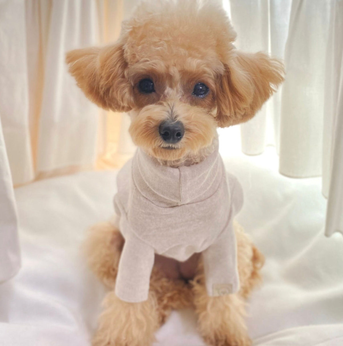 NKpup basic beige turtleneck dog shirt