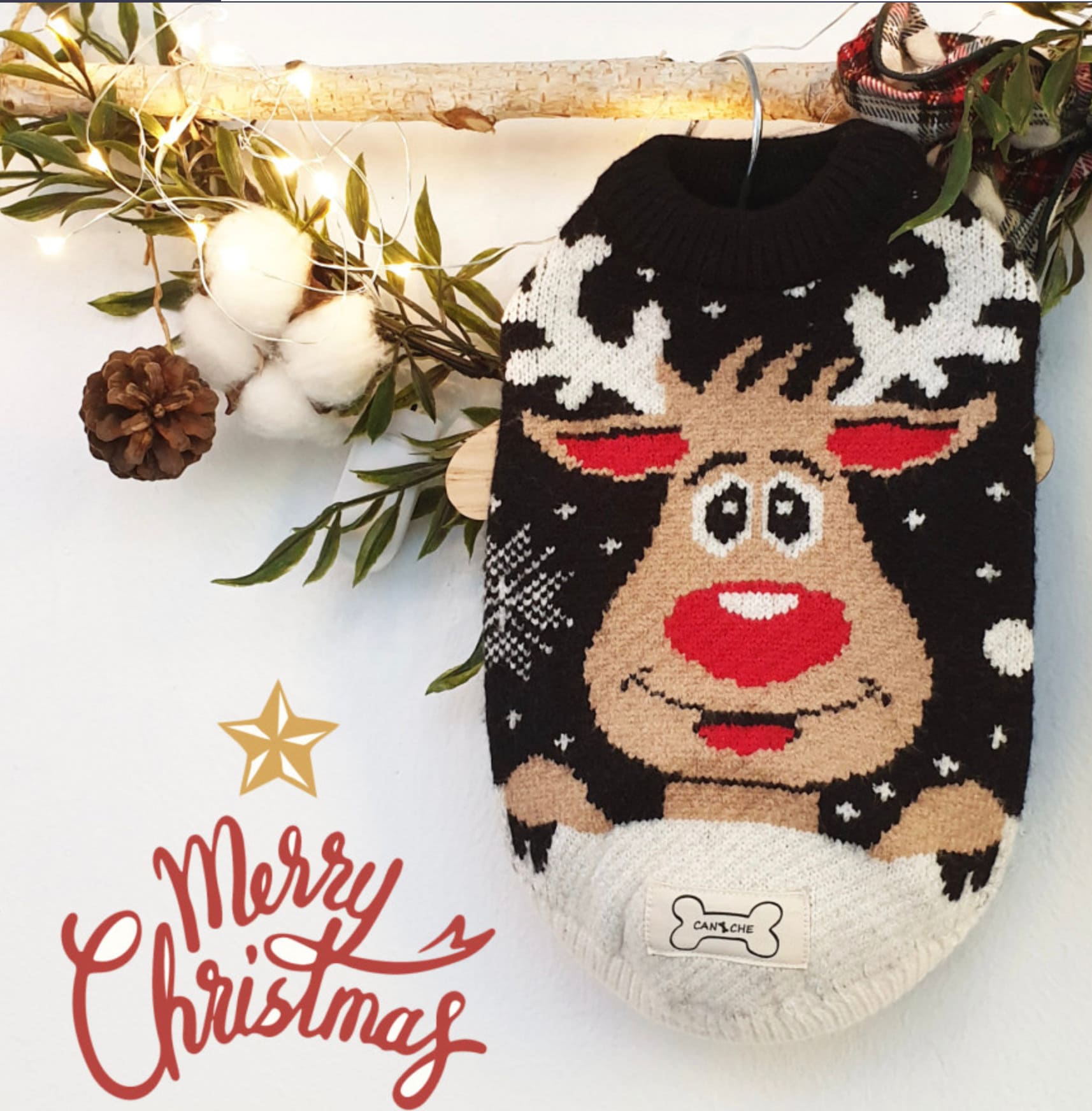 Rudolph Knit Sweater