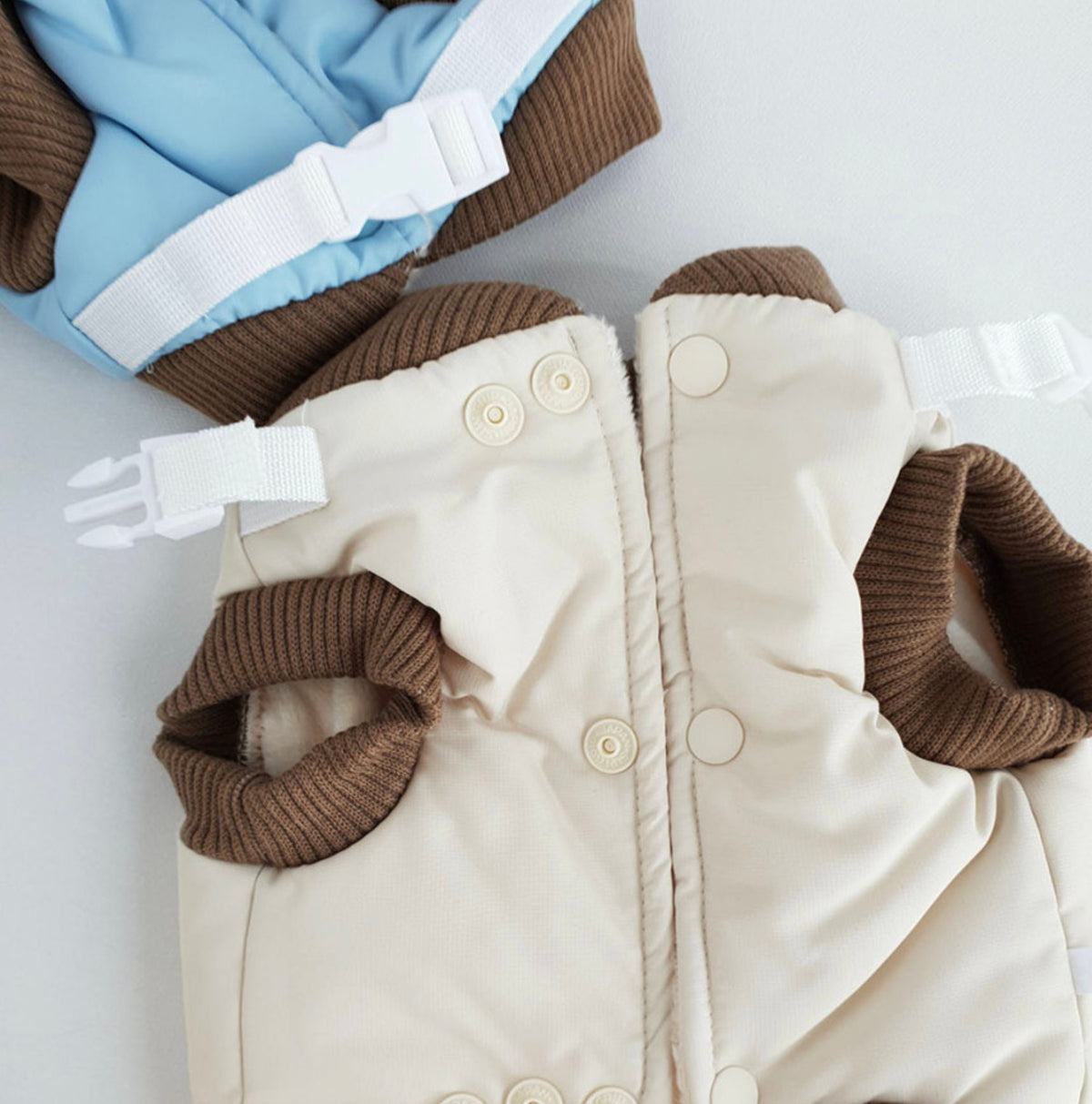 Bear D-Ring Dog Padded Vest