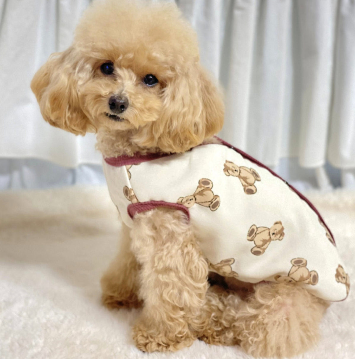 Teddy Bear Dog Vest in cream with brown teddy bear patterns and maroon trim by NKpup