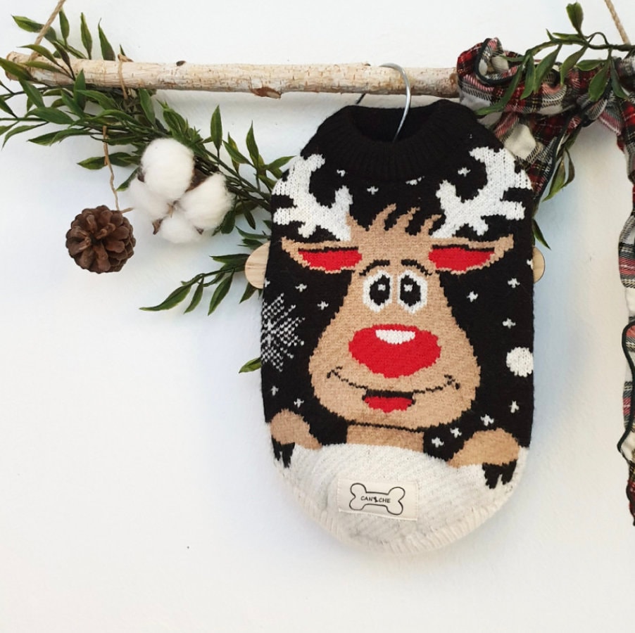 Rudolph Knit Sweater