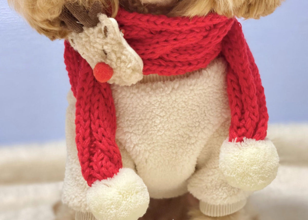 Christmas Knit Dog Scarf