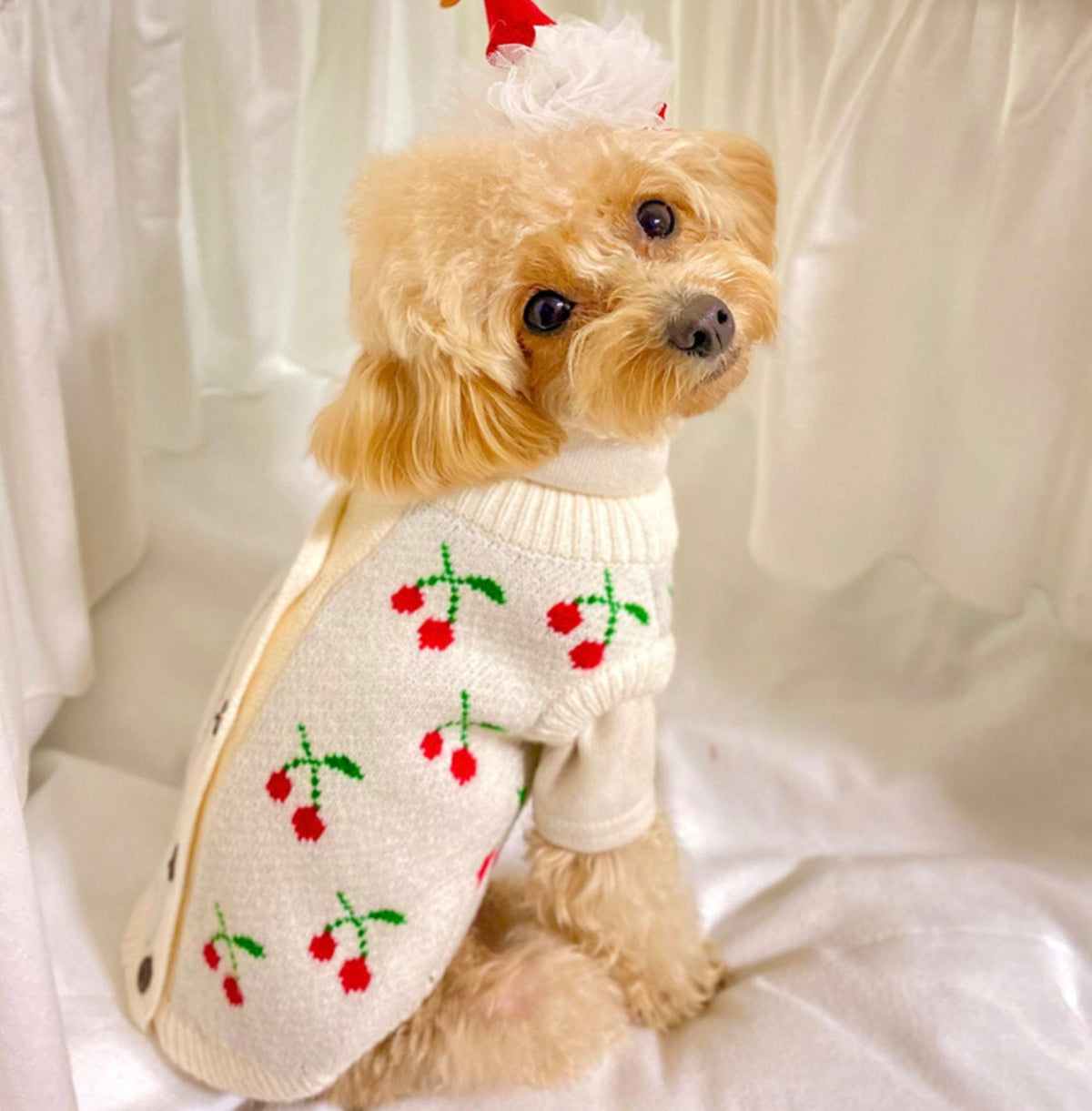 NKpup Christmas Cherry Knit Dog Cardigan in white with red cherry patterns