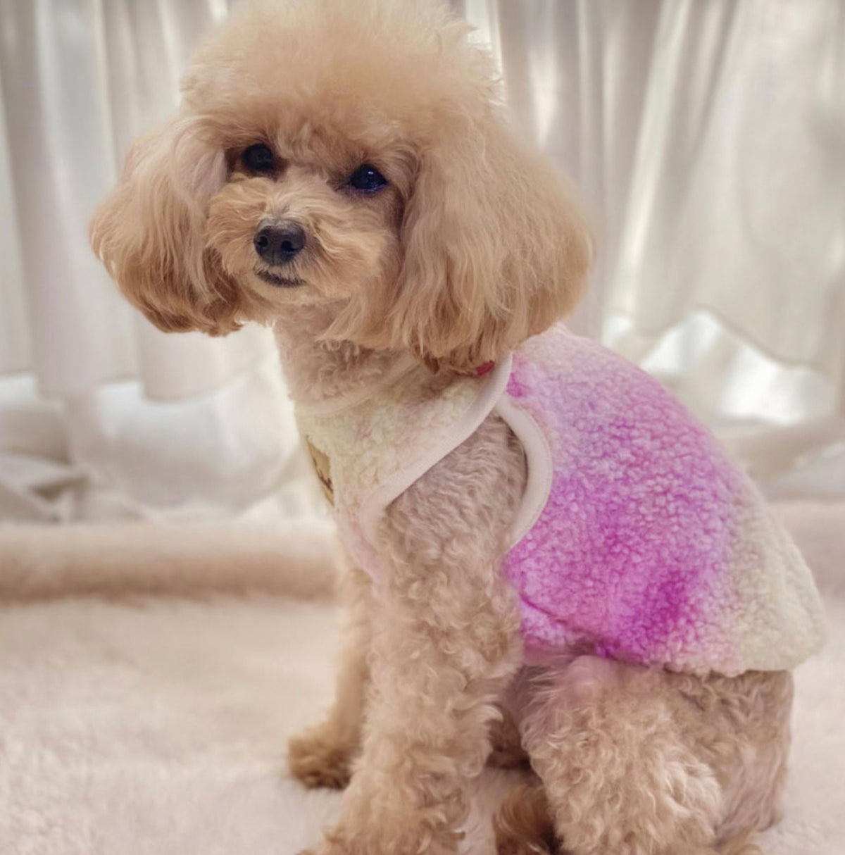 NKpup Aurora Boa Fleece Dog Vest in a pink and purple gradient color