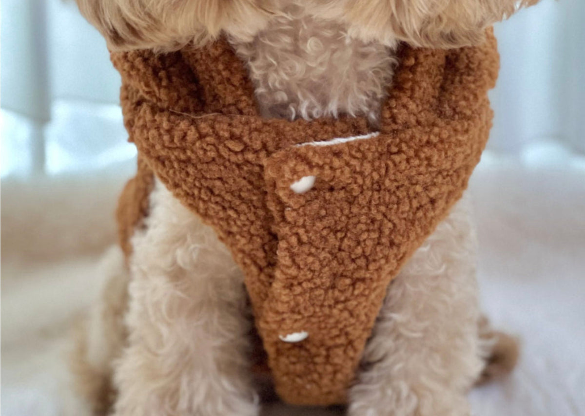 Brown fleece Baby Bear dog hoodie vest with button details