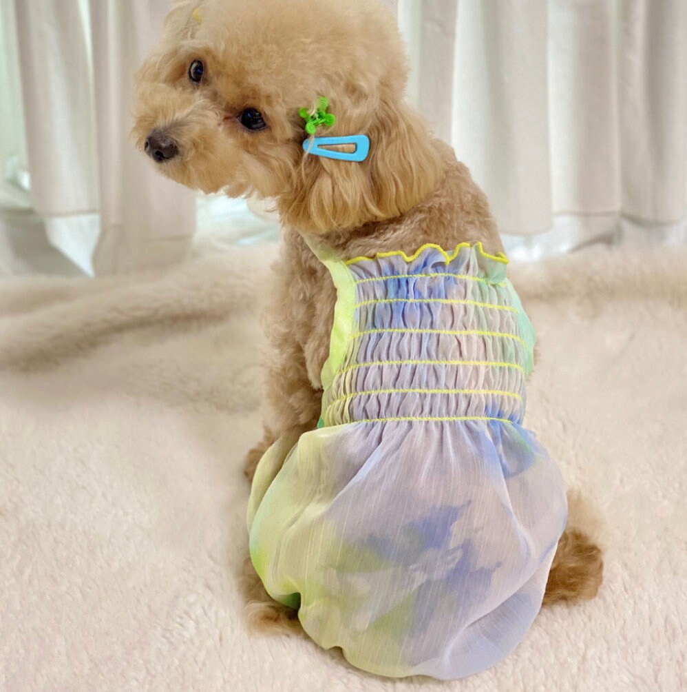 Sherbet Sheer Dog Overall