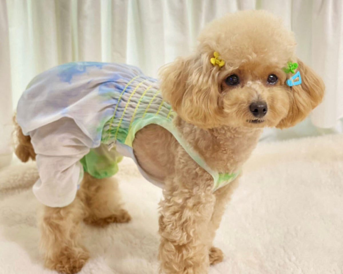 Sherbet Sheer Dog Overall