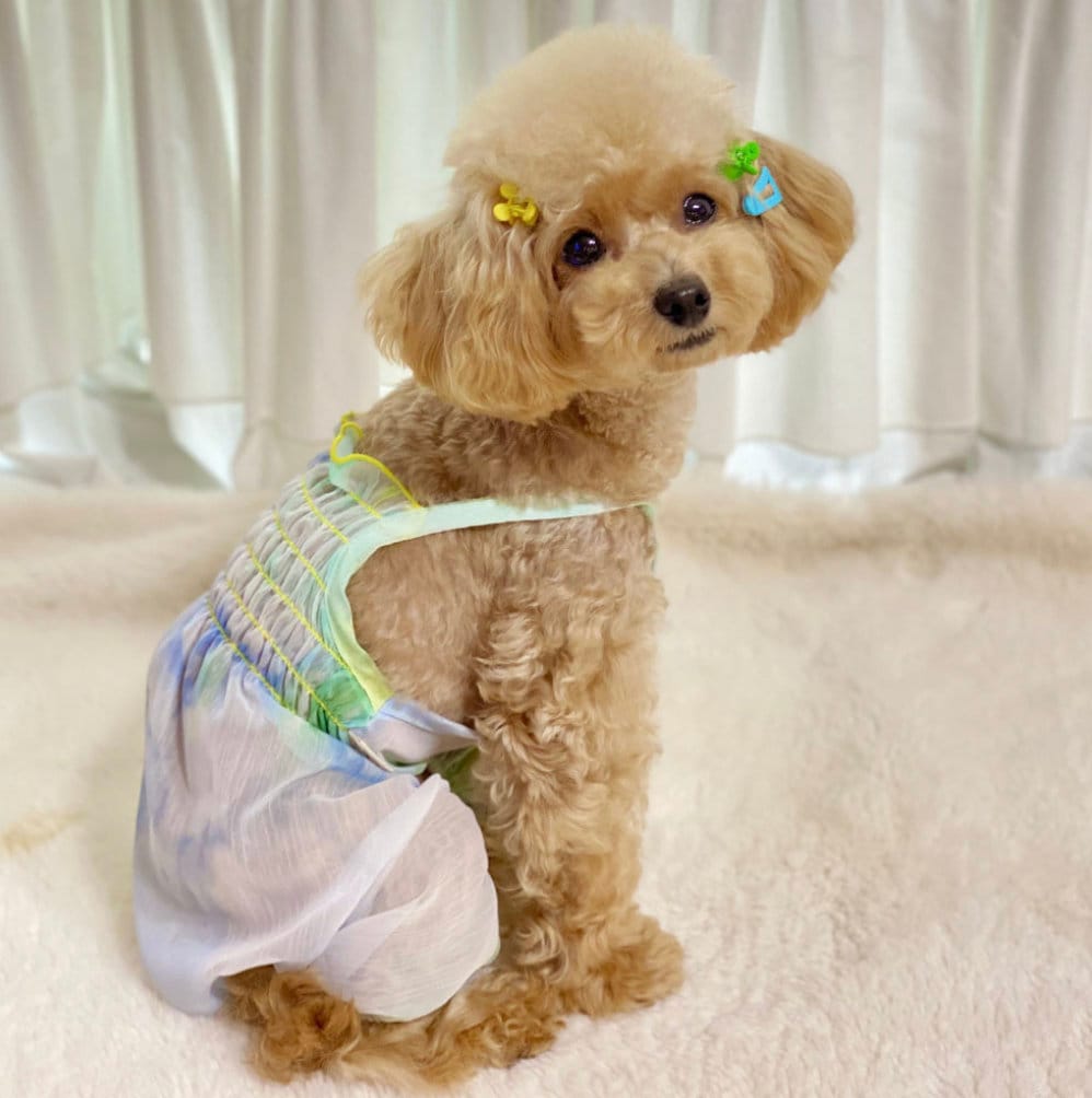 Sherbet Sheer Dog Overall