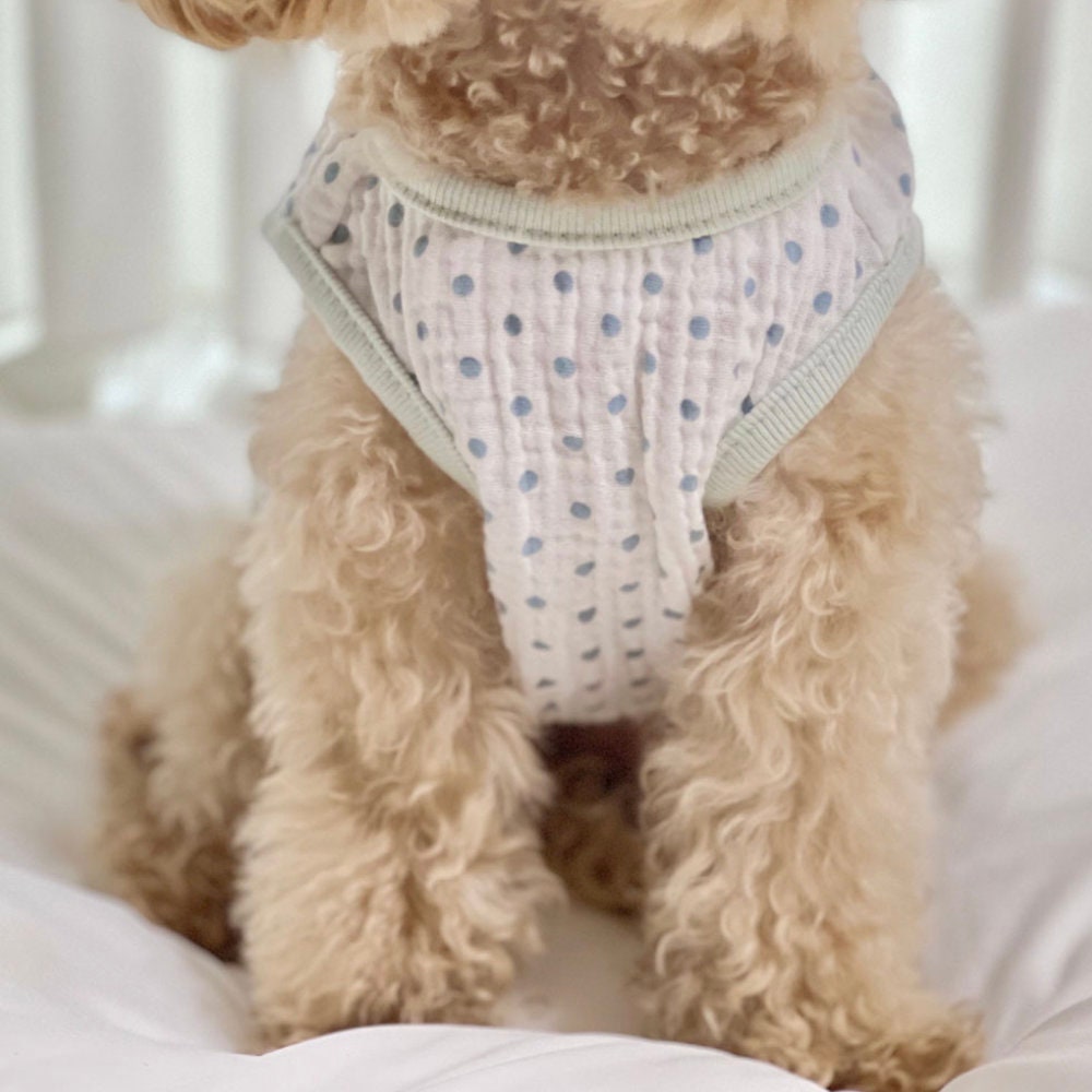 White polka dot crinkle dog vest with light blue trim