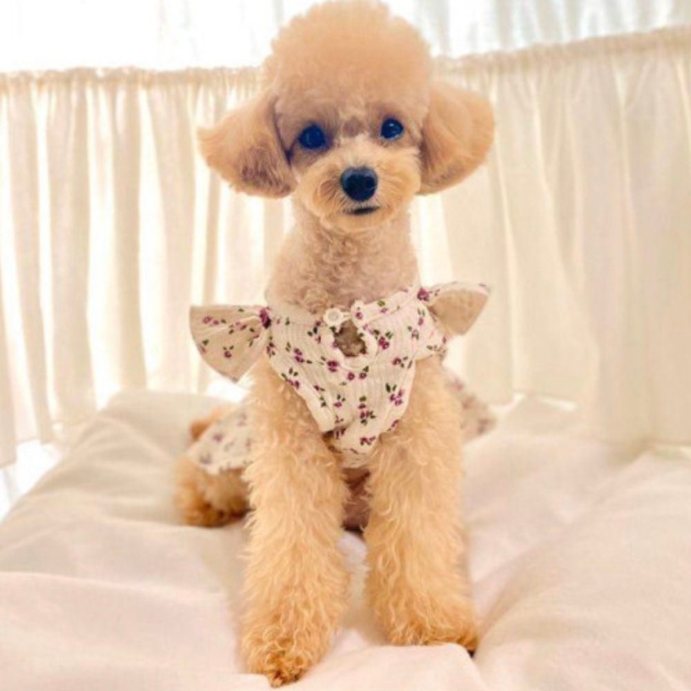 Floral ribbon dog dress in white with purple flower pattern by NKpup