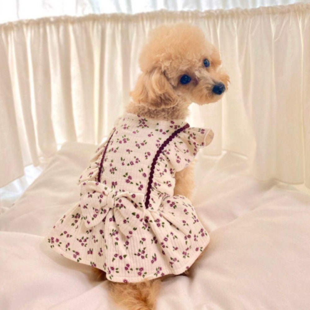NKpup floral ribbon dog dress in cream with purple flower pattern and ruffled sleeves