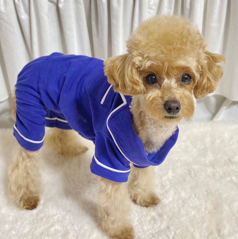 NKpup solid blue dog pajamas overall with white trim