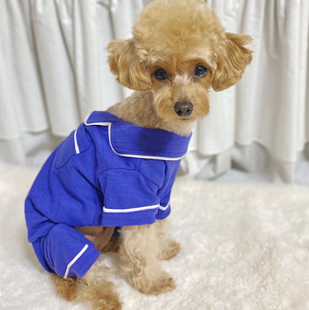 NKpup solid blue dog pajamas overall with white trim
