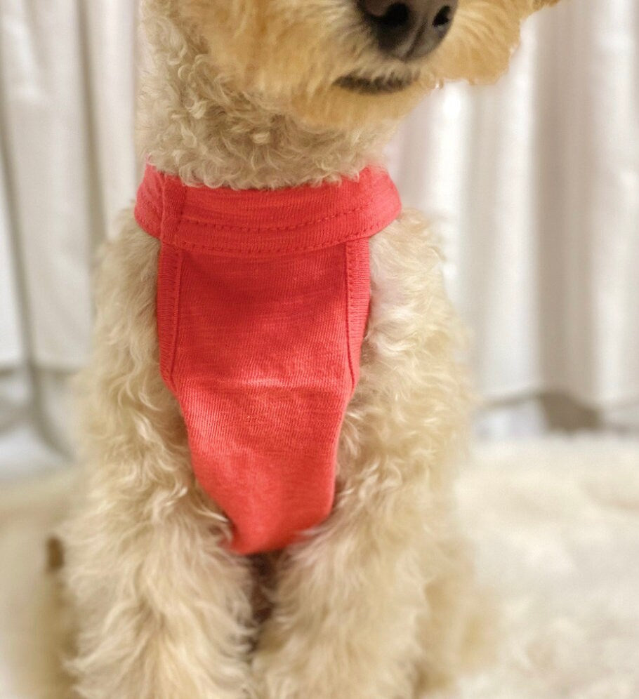 Fruits Crop Dog Top