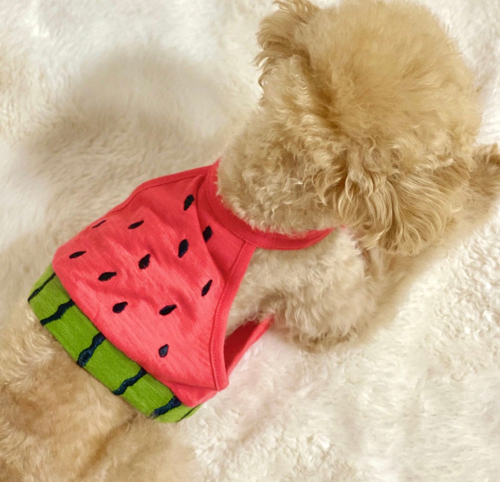 Fruits Crop Dog Top