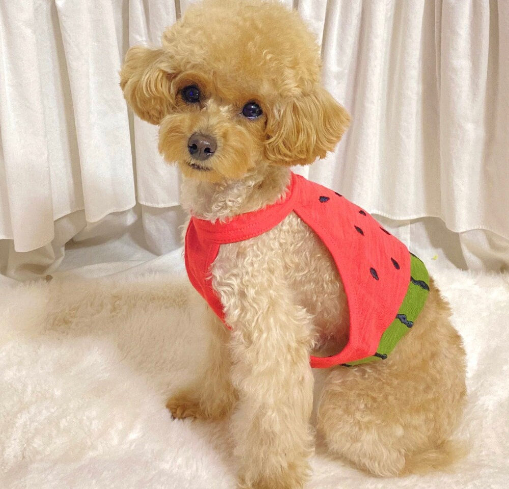 Fruits Crop Dog Top
