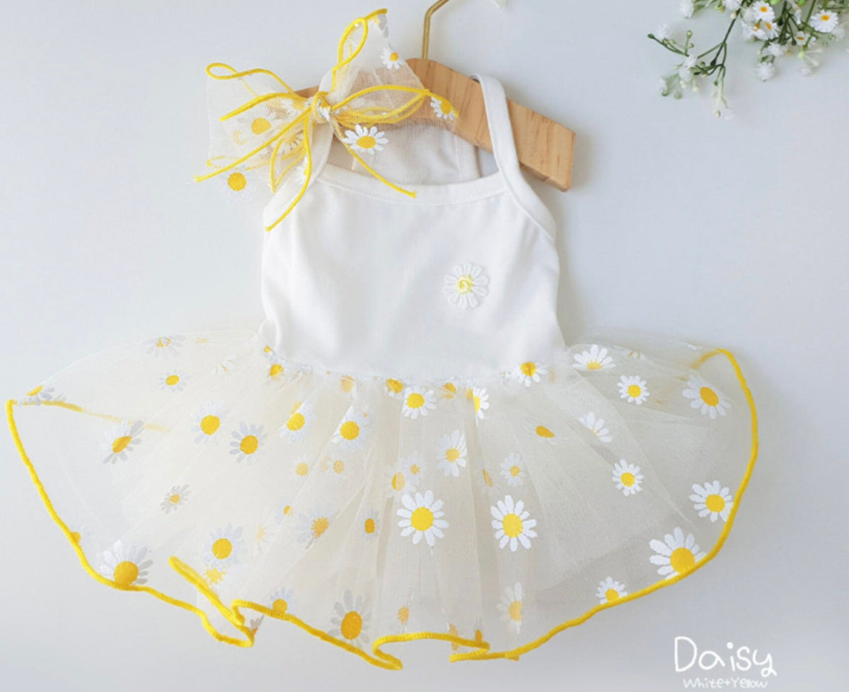 Picnic Tutu Dog Dress