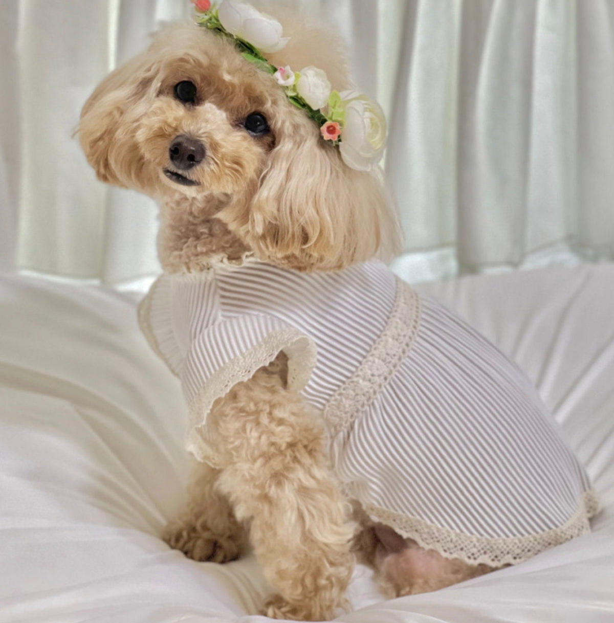 Pleated Evening Dress