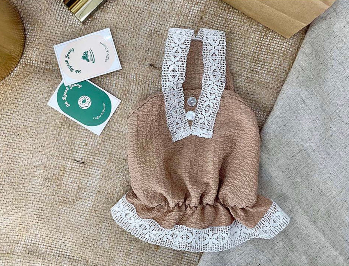 Brown lace dress for dogs with white lace trim and button details