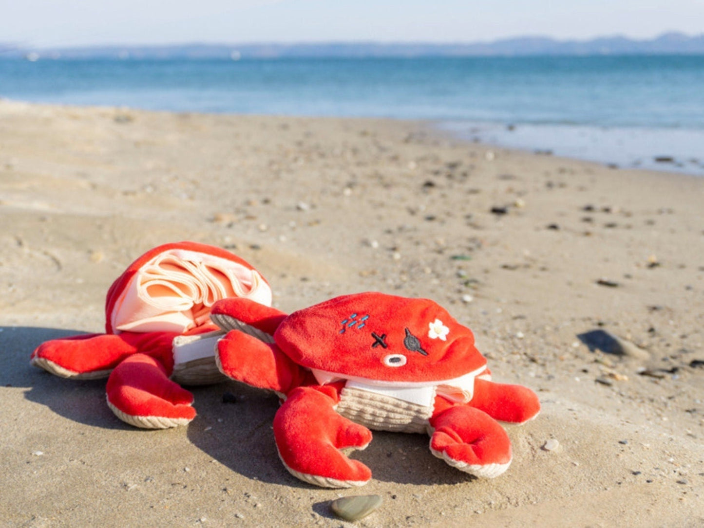 Snuffle Crab Dog Toy